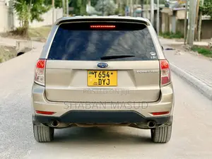 Subaru Forester 2009 Gray