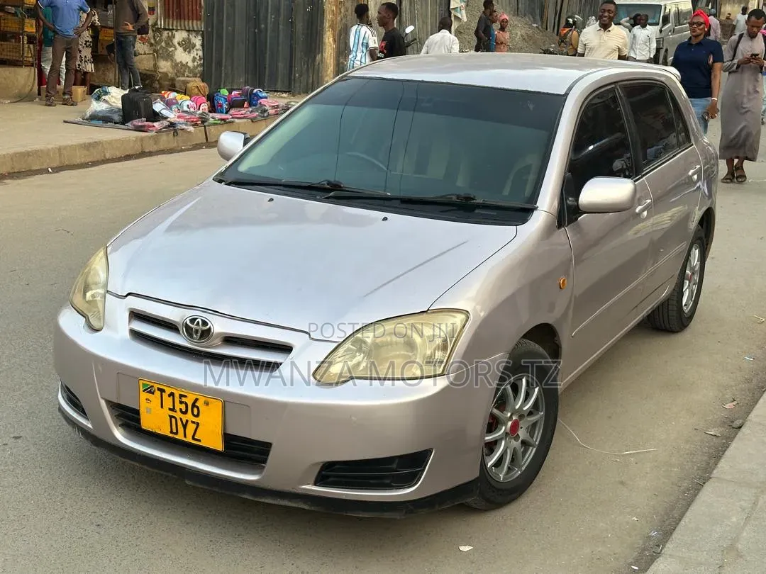 Toyota Corolla RunX 2006 Silver