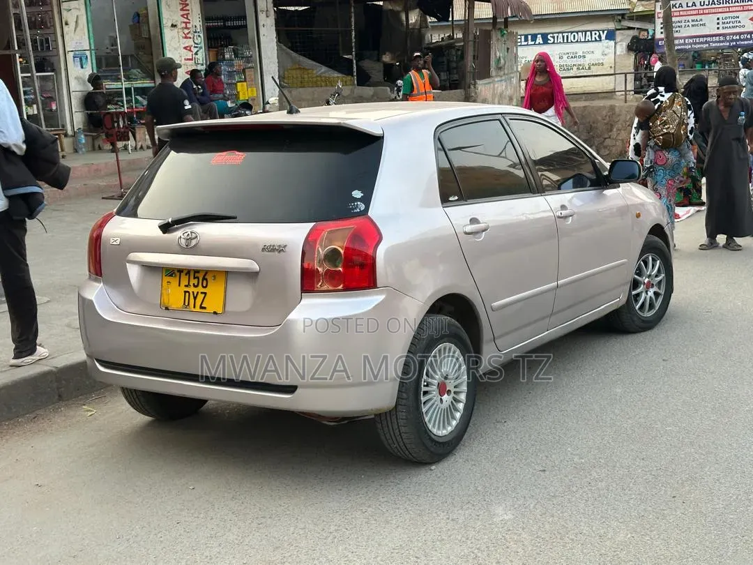 Toyota Corolla RunX 2006 Silver