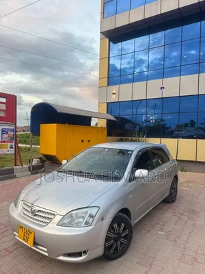 Toyota Allex 2003 Silver