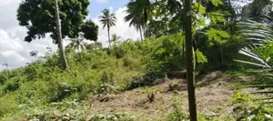 12 Acres Industrial Plot for Sale at Mkuranga
