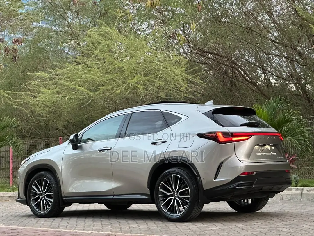 Lexus NX 2022 Silver