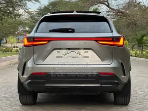 Lexus NX 2022 Silver