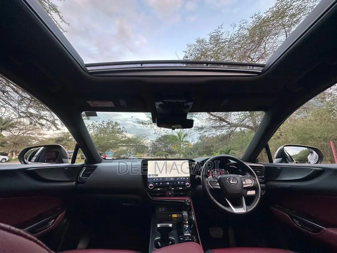 Lexus NX 2022 Silver