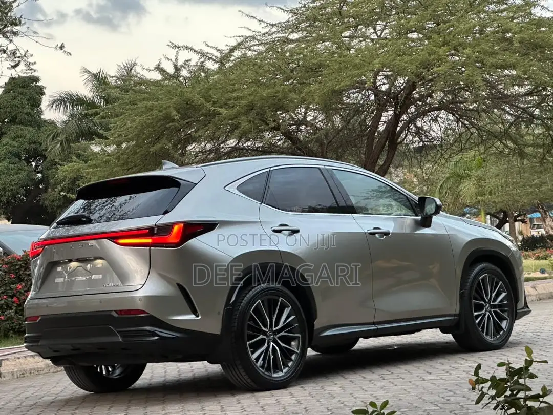Lexus NX 2022 Silver