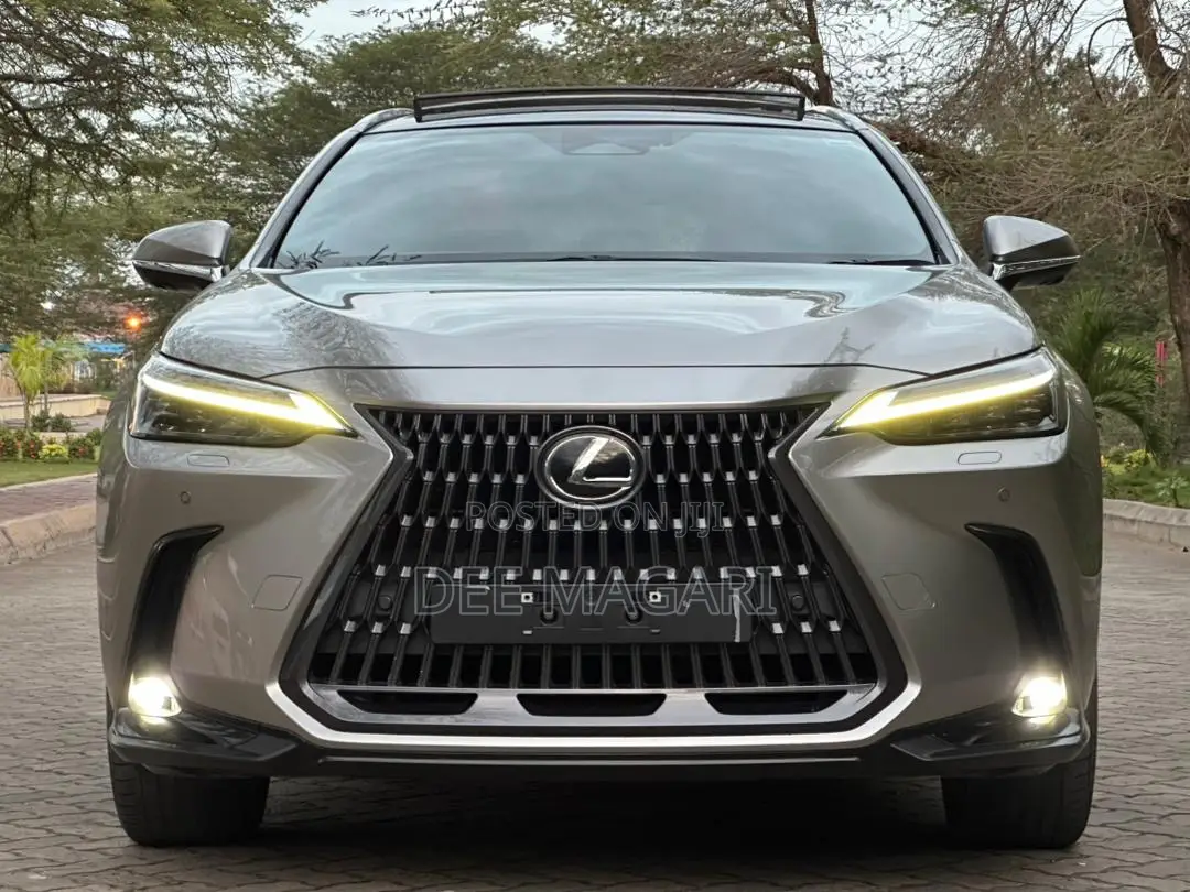 Lexus NX 2022 Silver