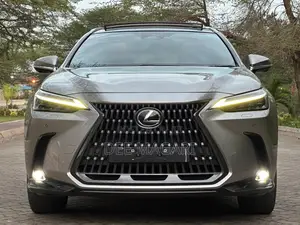 Lexus NX 2022 Silver
