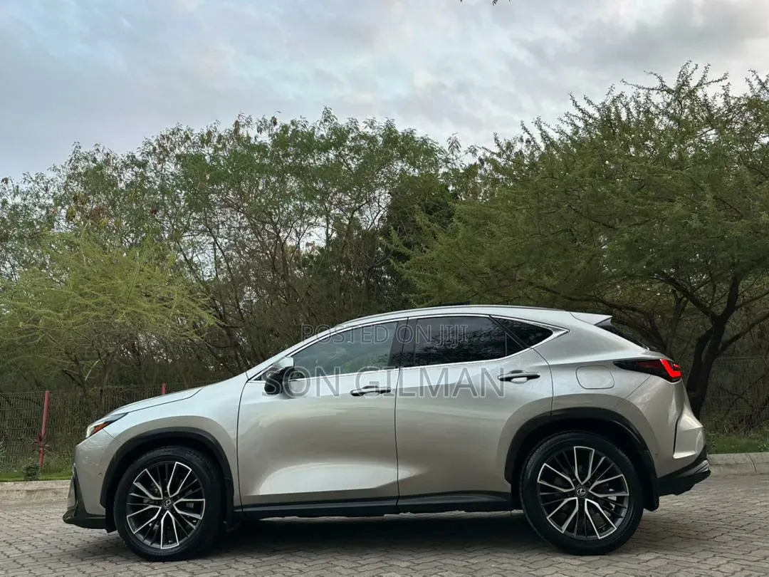 Lexus NX 2022 Silver