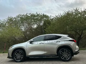 Lexus NX 2022 Silver