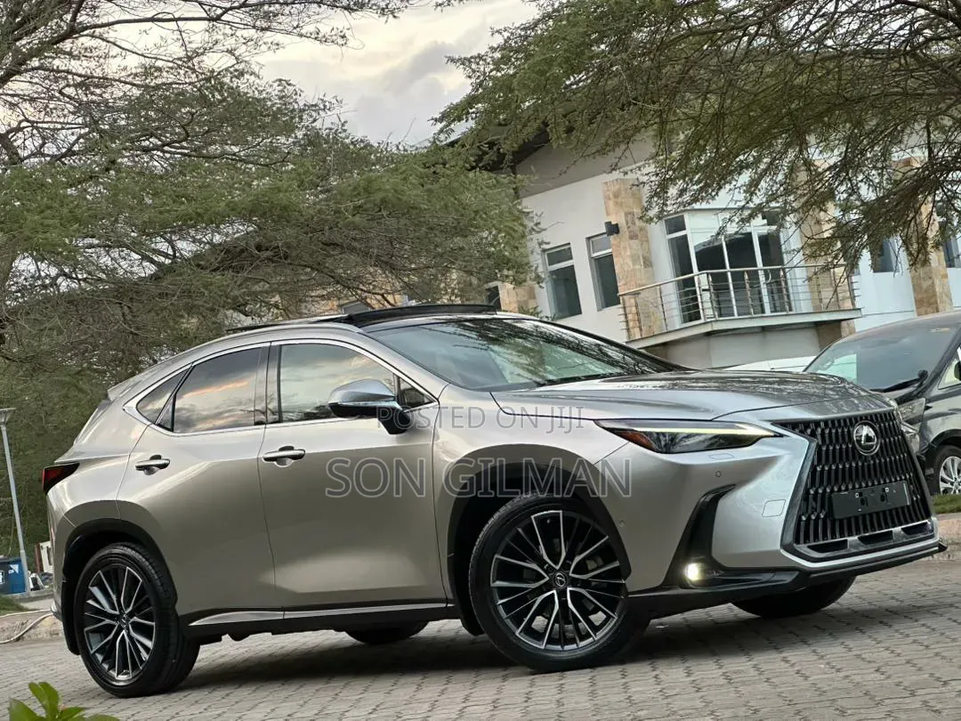 Lexus NX 2022 Silver