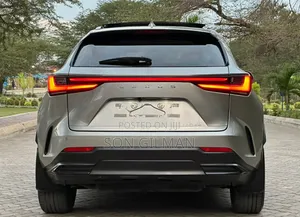 Lexus NX 2022 Silver