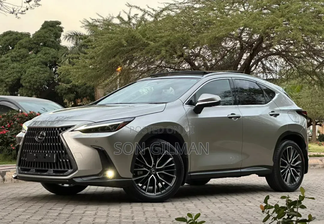 Lexus NX 2022 Silver