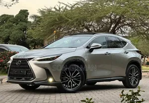 Lexus NX 2022 Silver