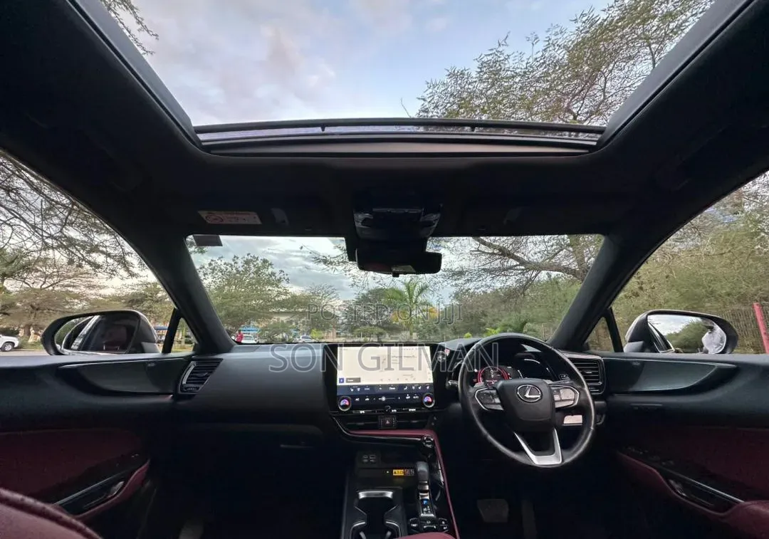 Lexus NX 2022 Silver