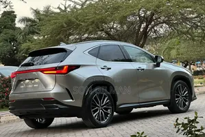 Lexus NX 2022 Silver