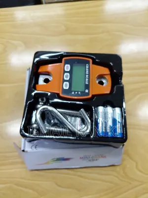 Digital Crane Scale 300kg