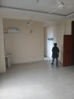 3bdrm Apartment in Mcharo Homes Tz, Chang'ombe for rent