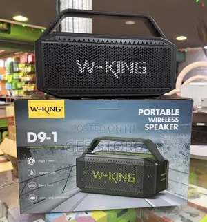 W-King D9-1 Speaker