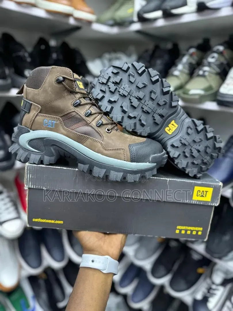 New Cat Men Shoes