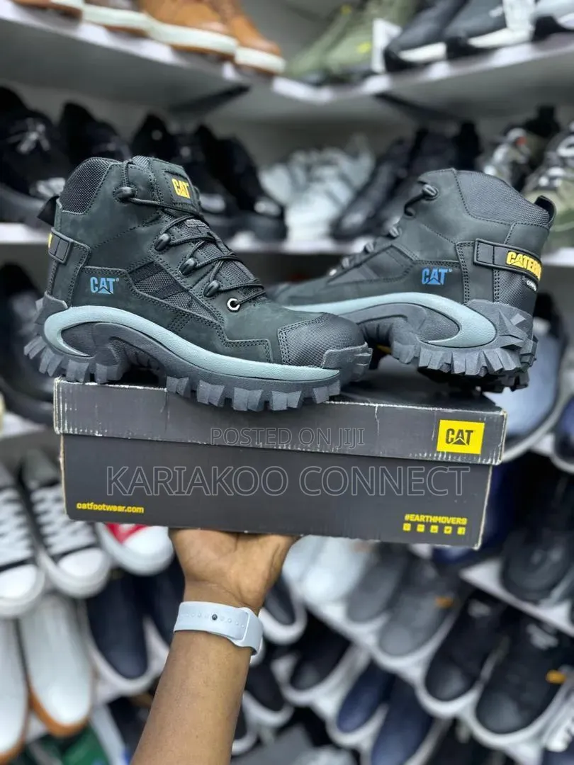 New Cat Men Shoes