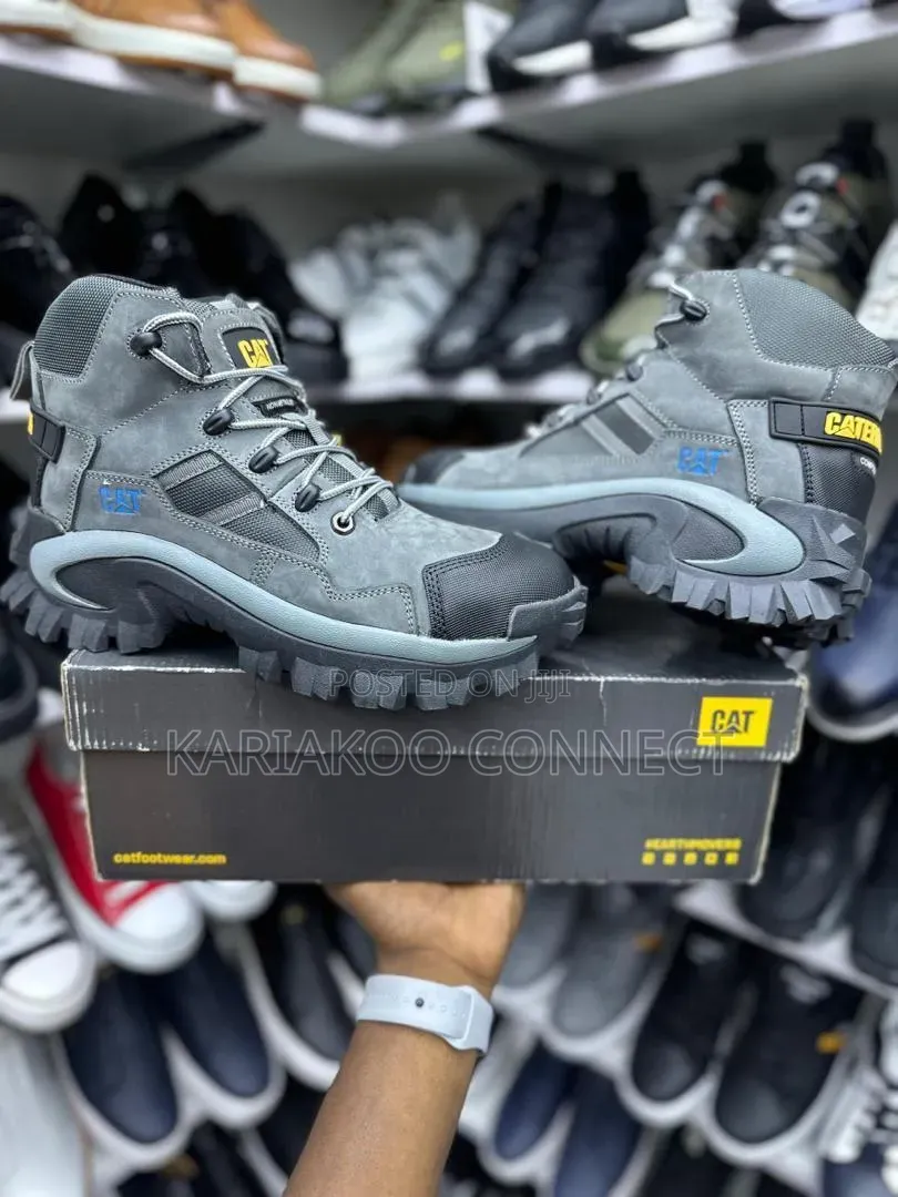 New Cat Men Shoes