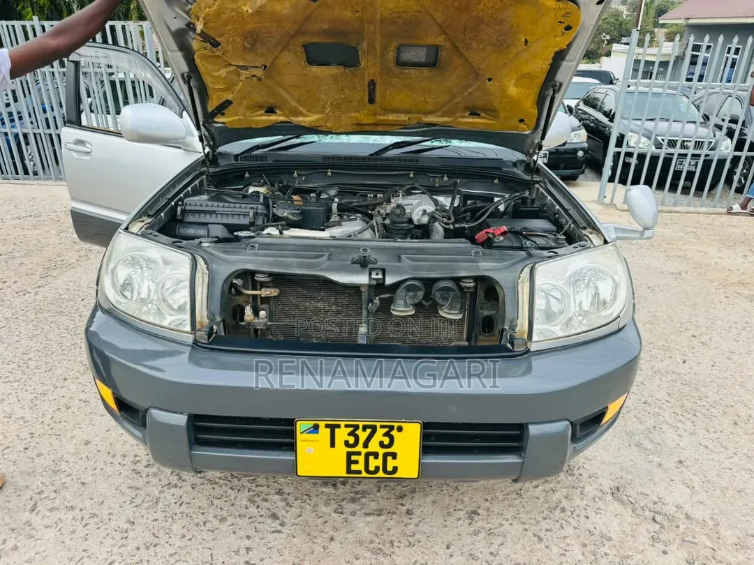 Toyota Hilux Surf 2007 Silver