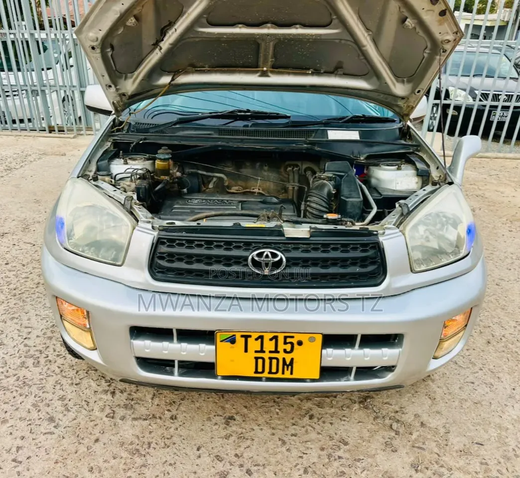 Toyota RAV4 2002 Beige