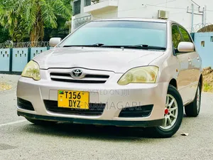 Toyota Corolla RunX 2006 Gold