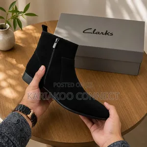 Stylish Clarks Men's Shoes