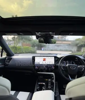 Lexus NX 2024 Gray
