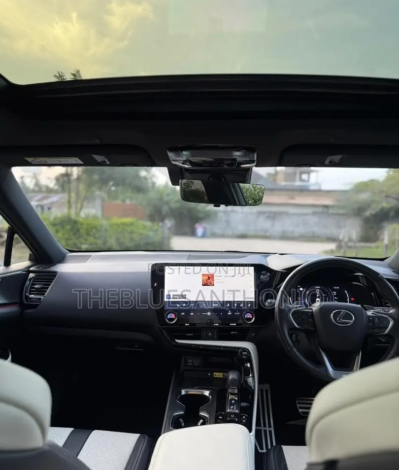 Lexus NX 2024 Gray