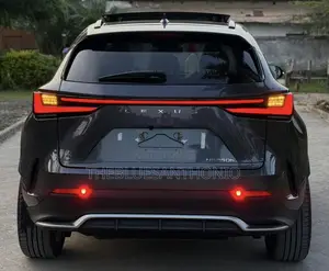 Lexus NX 2024 Gray