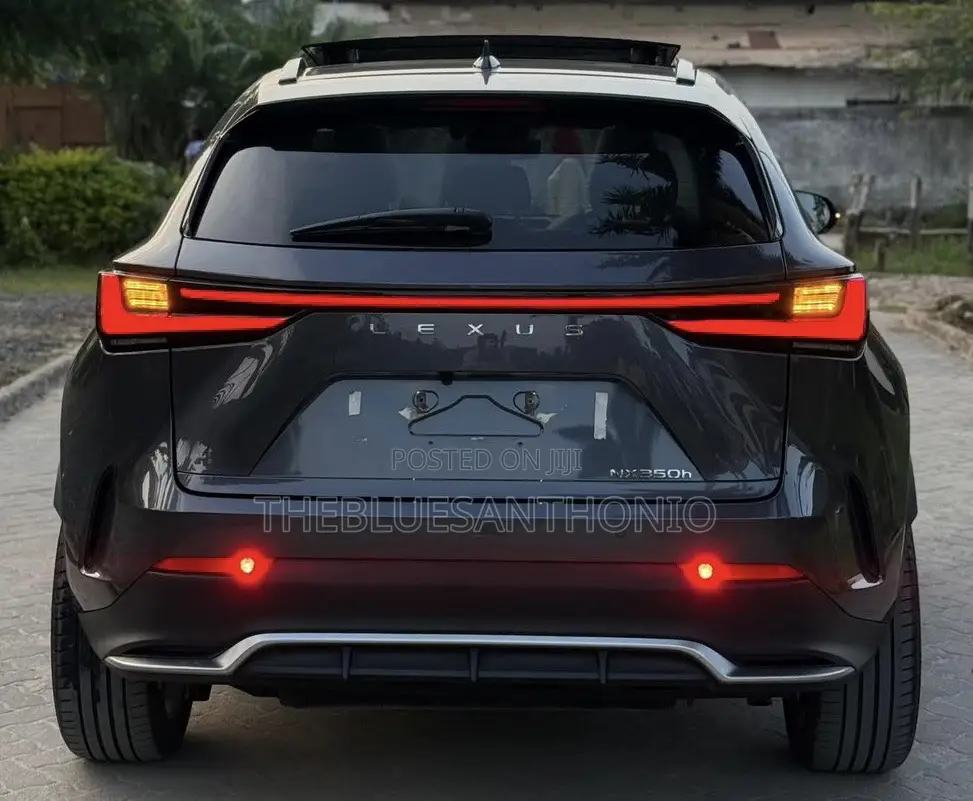 Lexus NX 2024 Gray