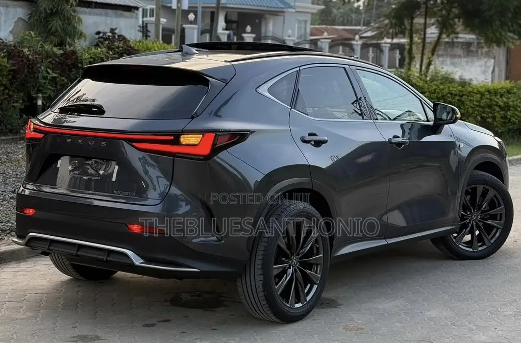 Lexus NX 2024 Gray