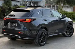 Lexus NX 2024 Gray