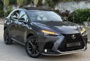 Lexus NX 2024 Gray