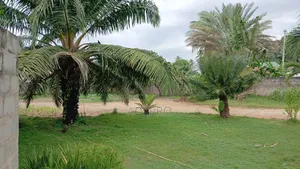 Plot for Sale - Kigamboni Mji Mwema