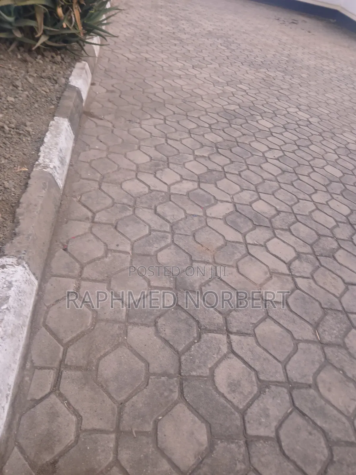 4bdrm House in Tanzania Real, Central Business Area for rent