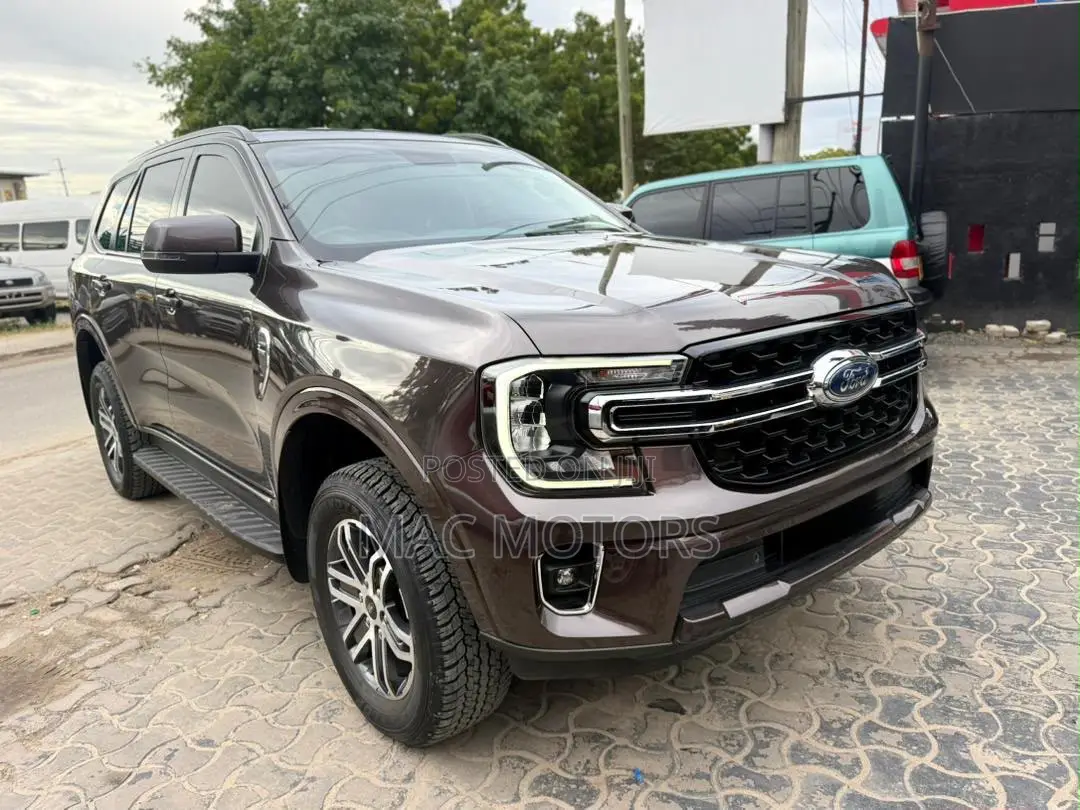 Ford Everest 2023 Gray