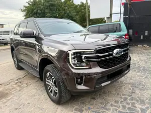 Ford Everest 2023 Gray