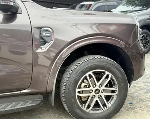 Ford Everest 2023 Gray