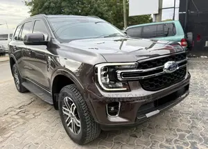 Ford Everest 2023 Gray