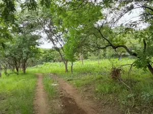Farm for Sale