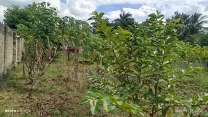 Plot Sale Kibamba