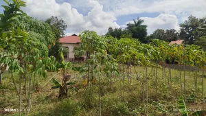 Plot Sale Kibamba