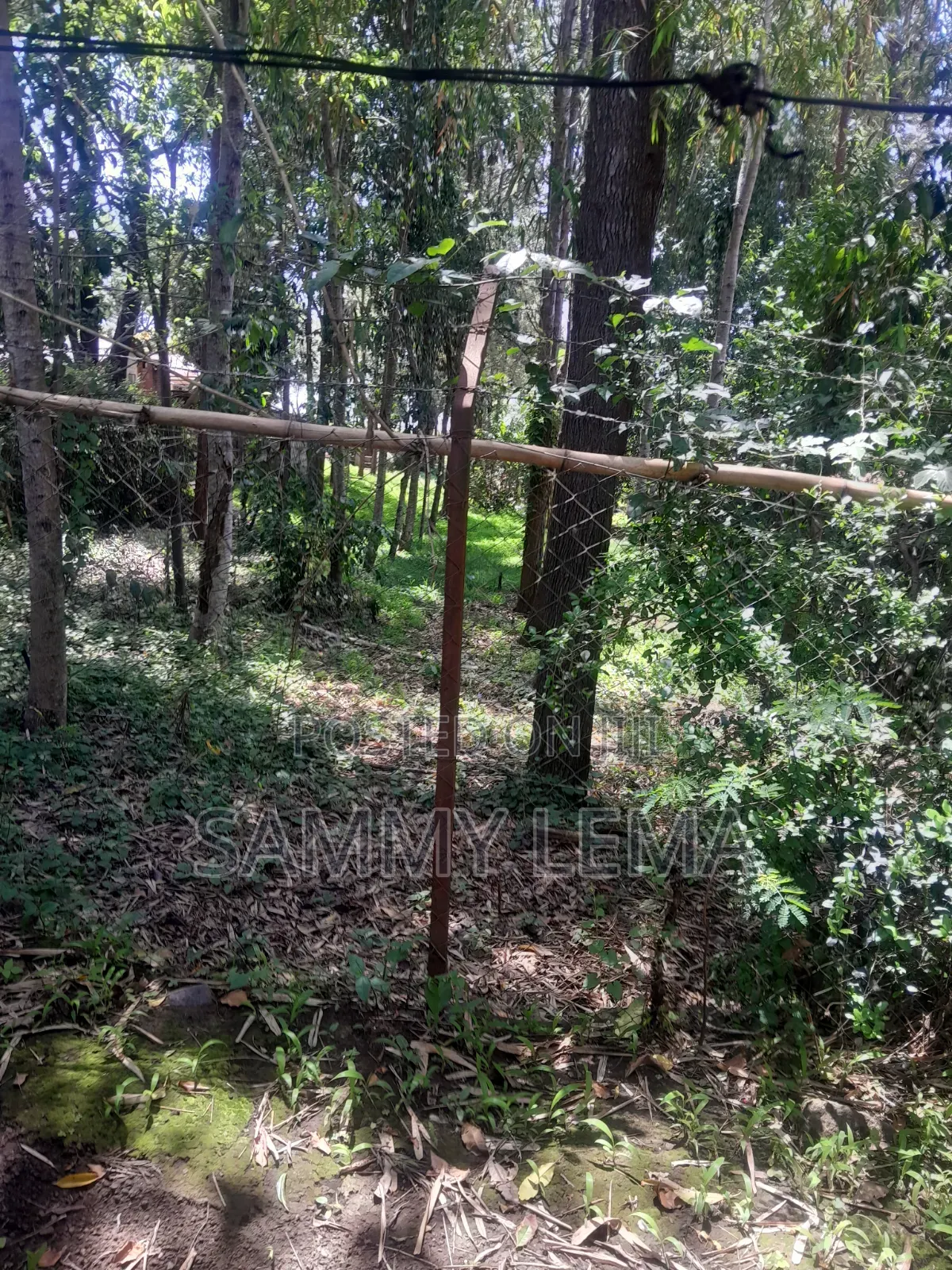 Kiwanja (Plot) Size 7212 Sqmfor Sale Arusha Sakina