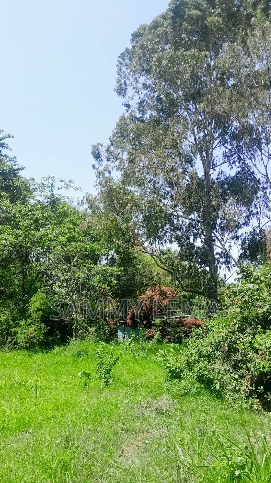 Kiwanja (Plot) Size 7212 Sqmfor Sale Arusha Sakina