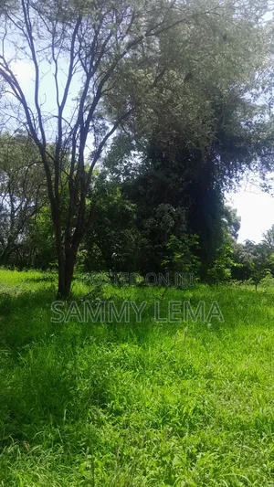Kiwanja (Plot) Size 7212 Sqmfor Sale Arusha Sakina