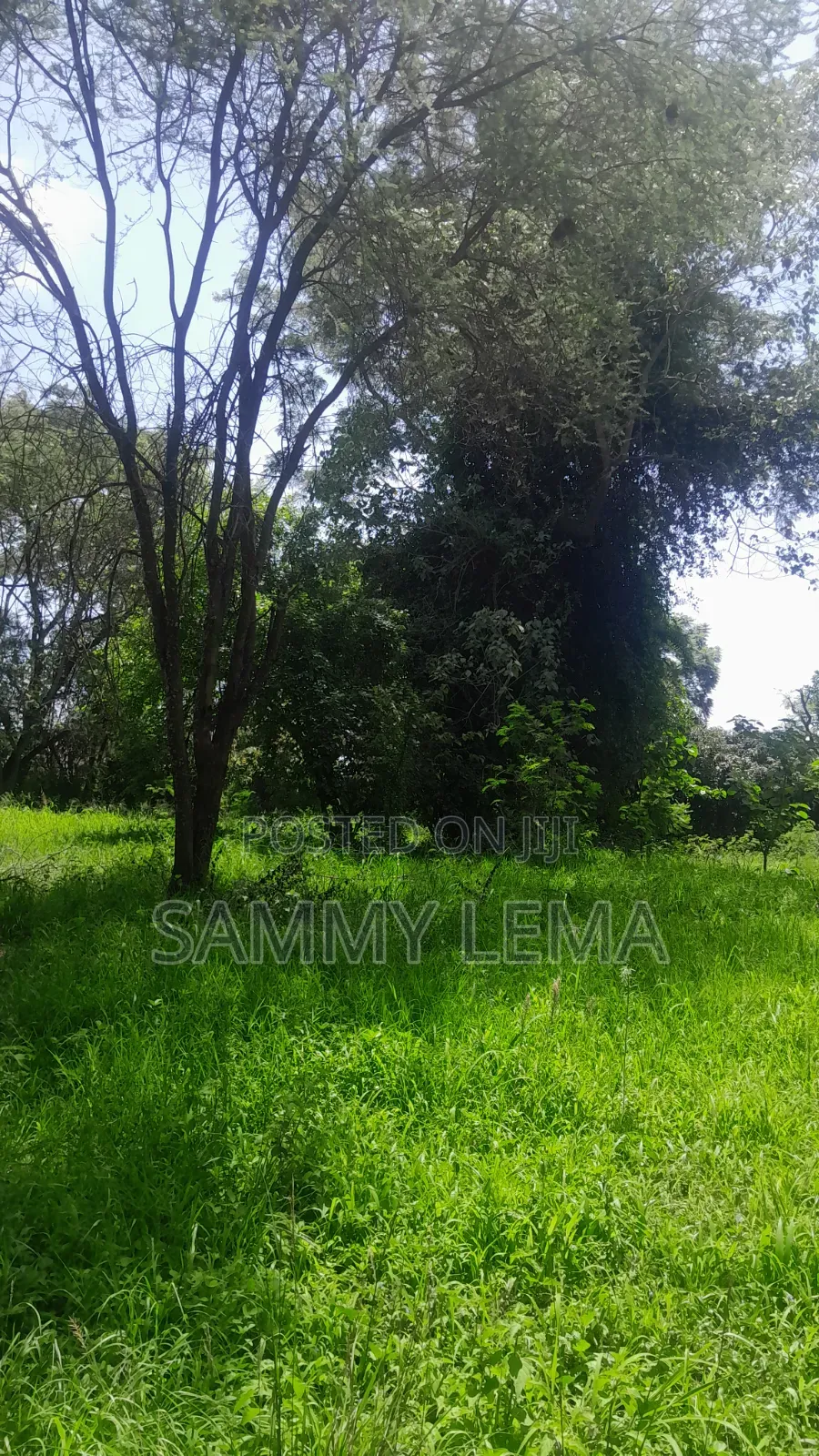 Kiwanja (Plot) Size 7212 Sqmfor Sale Arusha Sakina