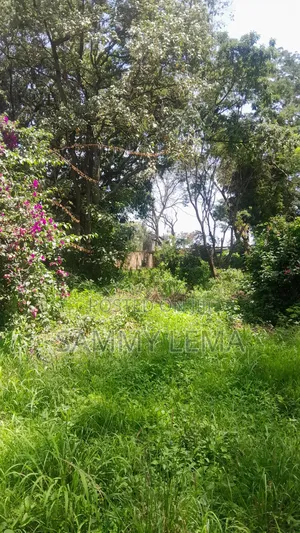 Kiwanja (Plot) Size 7212 Sqmfor Sale Arusha Sakina